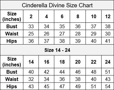 Cowl Fitted Satin Gown by Cinderella Divine 7487