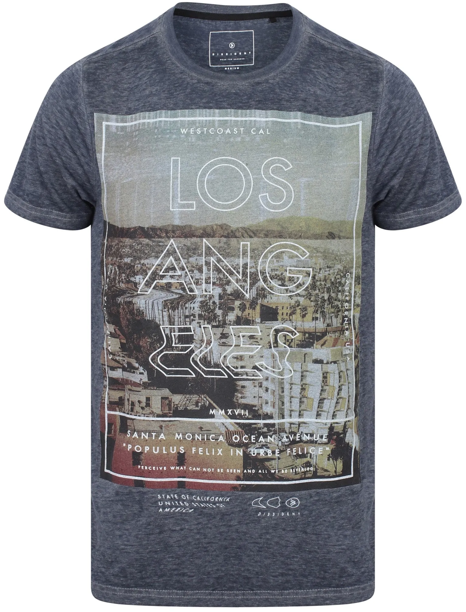 West Coast Motif Crew Neck T-Shirt In Reflex Blue - Dissident